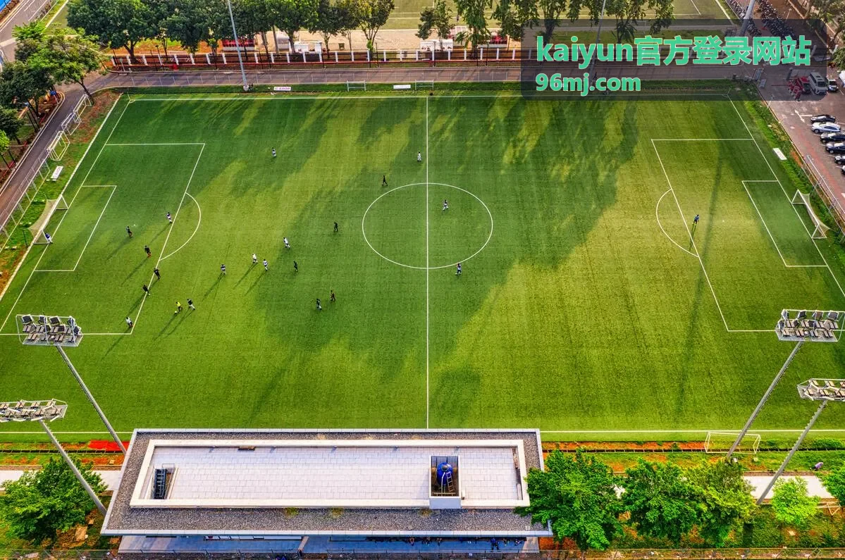 kaiyun官方登录网站官方入口与访问场景示意