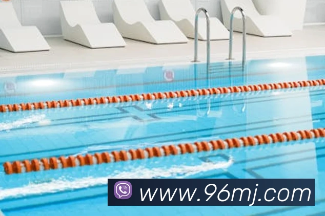 kaiyun官方网站入口平台生态图